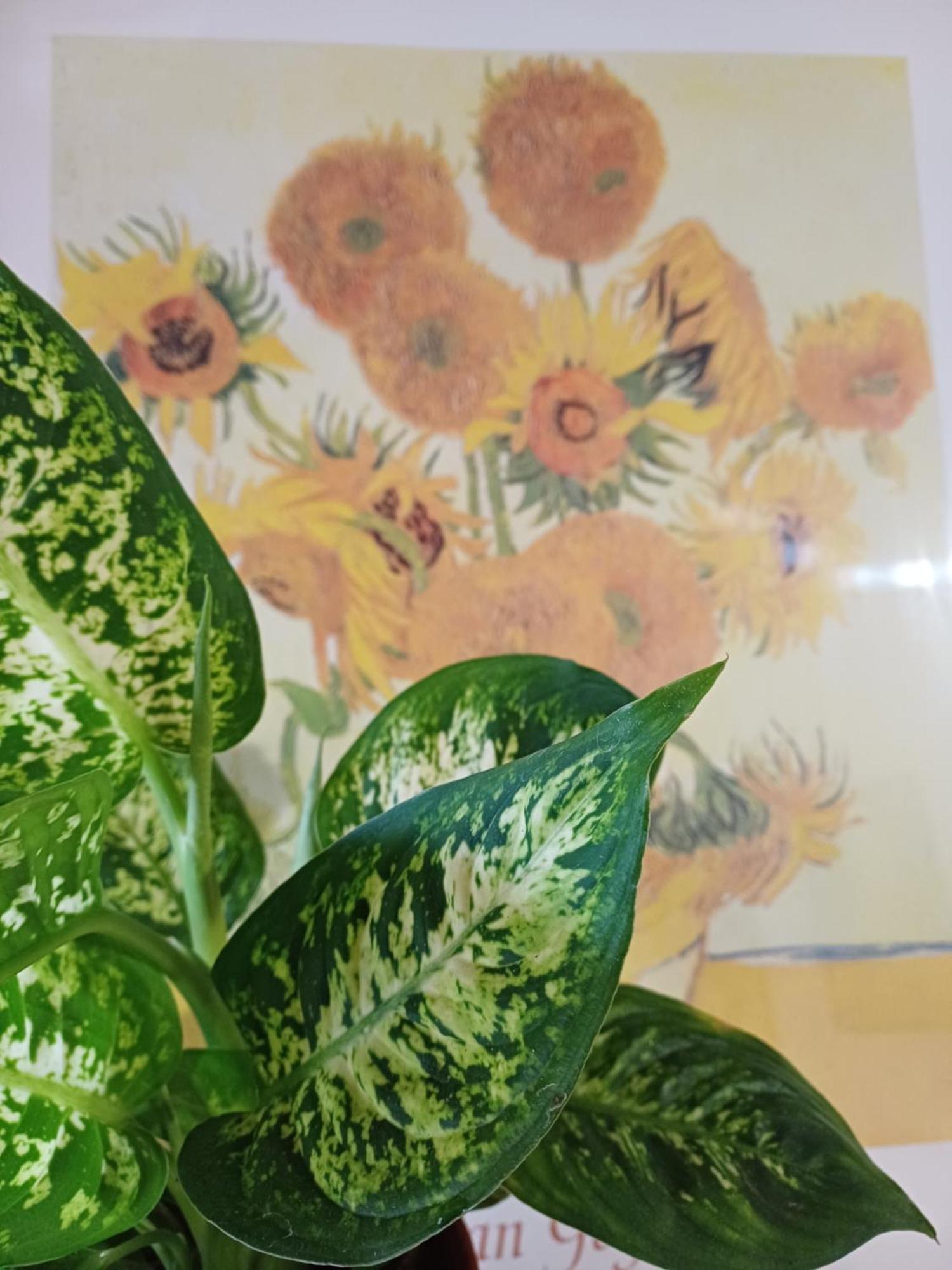 شقة Casa Il Girasole بيتيجليانو المظهر الخارجي الصورة