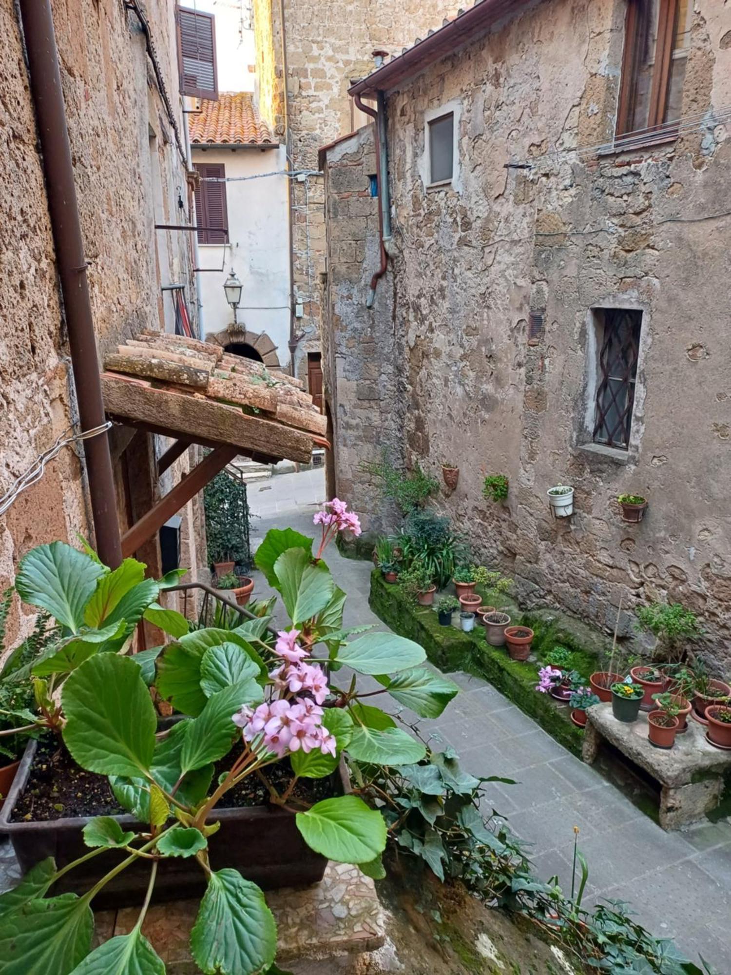 شقة Casa Il Girasole بيتيجليانو المظهر الخارجي الصورة